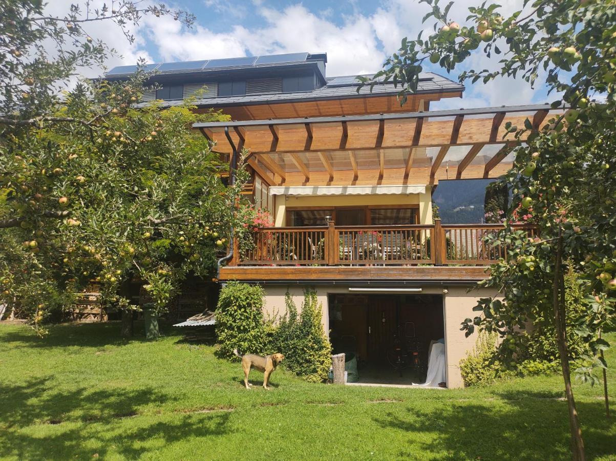 Family- Home Alpenblick Dellach im Drautal 外观 照片